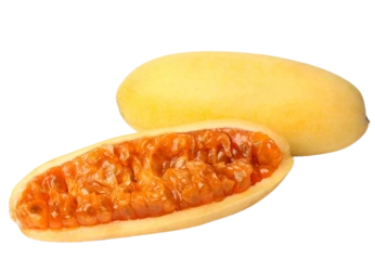 Una vibrante mezcla de bloques de pulpa de fresa de color rojo brillante de Pulpas Nuestra Tierra, 100% natural y sin conservantes, perfecta para preparar golosinas congeladas saludables. - Pulpas Nuestra Tierra
