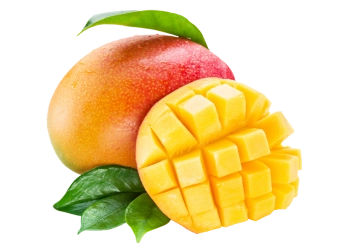 Un paquete de pulpa de guayaba congelada Pulpas Nuestra Tierra en un bloque de 500g, mostrada con rodajas de guayaba rosa fresca-pulpa de fruta 100% natural, sin conservantes. - Pulpas Nuestra Tierra