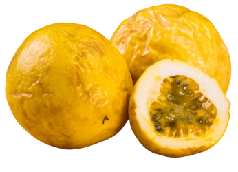 Los bloques de fresa roja brillante y los cubos porcionados muestran la rica textura de la pulpa, ideal para quienes buscan pulpas de fresa 100% naturales y sin conservantes. - Pulpas Nuestra Tierra